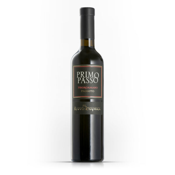 V-007-primo_passo V-007-primo_passo